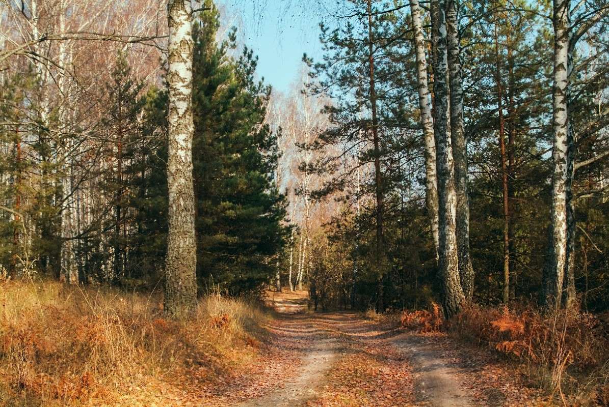 ... ����� ������� ���������� �� PhotoGeek.ru #������ ��� �������