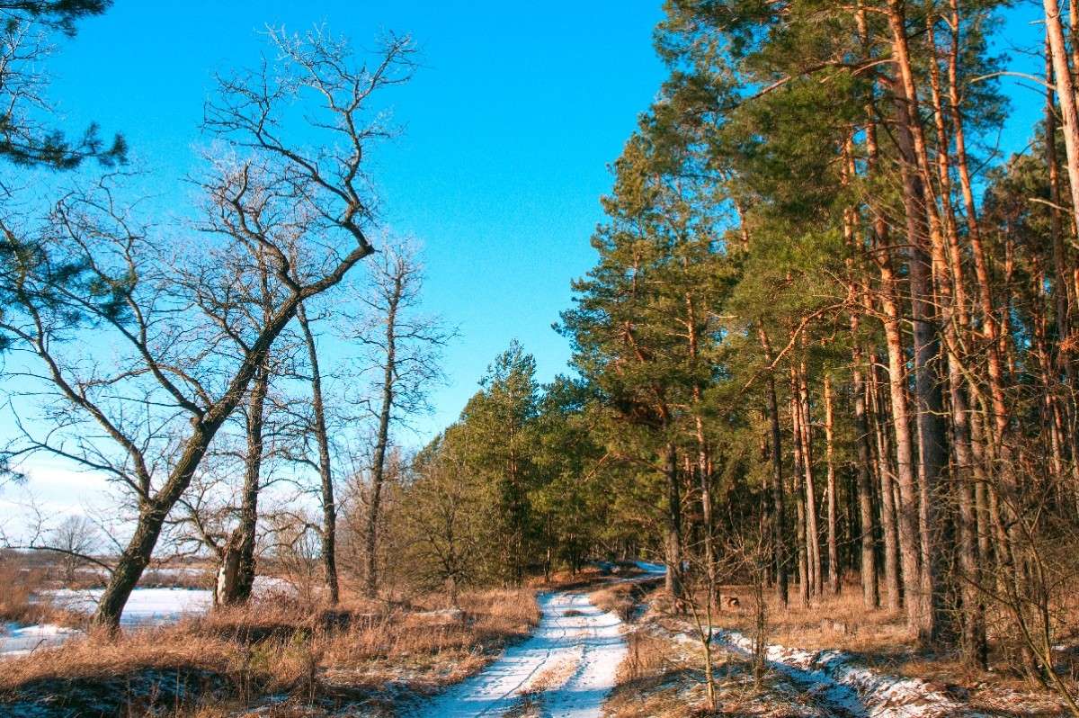 ... ����� ������� ���������� �� PhotoGeek.ru #������ ��� �������