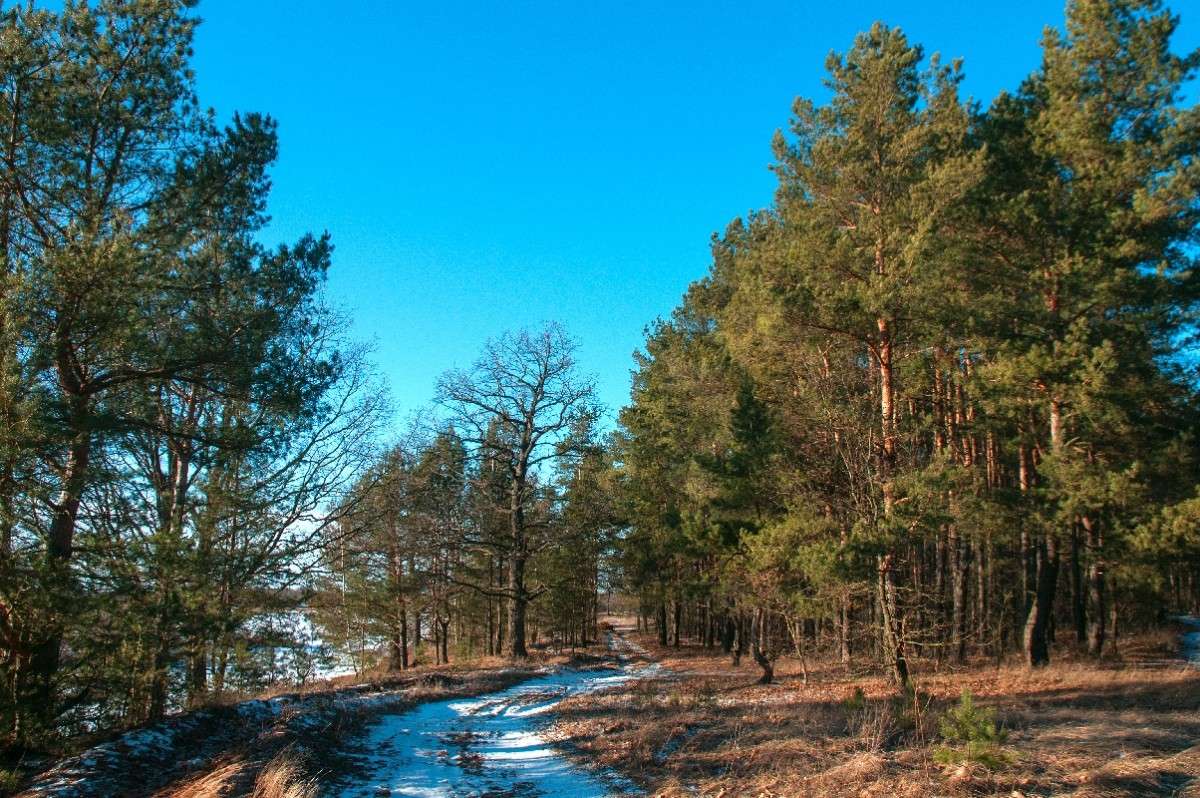 ... ����� ������� ���������� �� PhotoGeek.ru #������ ��� �������