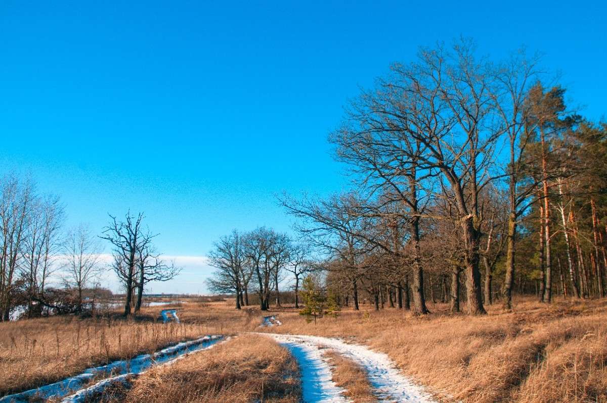 .... ����� ������� ���������� �� PhotoGeek.ru #������ ��� �������