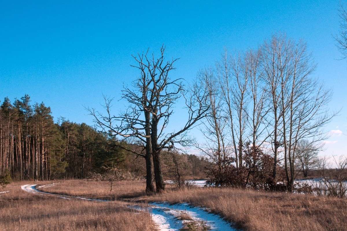 ... ����� ������� ���������� �� PhotoGeek.ru #������ ��� �������