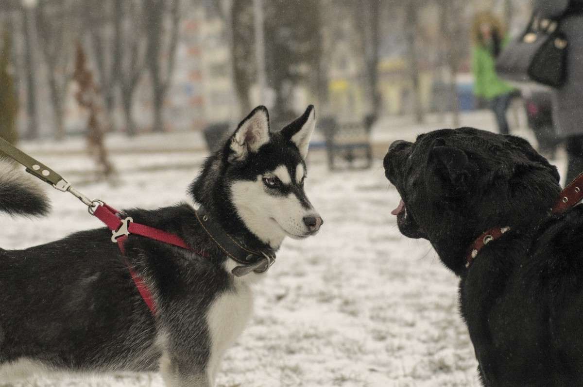 ... ����� ������� ���������� �� PhotoGeek.ru #�������� ���������� #���������������