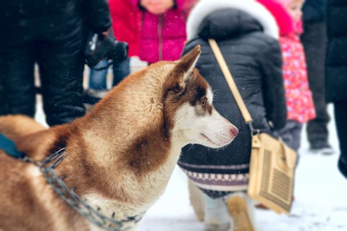 ... ����� ������� ���������� �� PhotoGeek.ru #��������