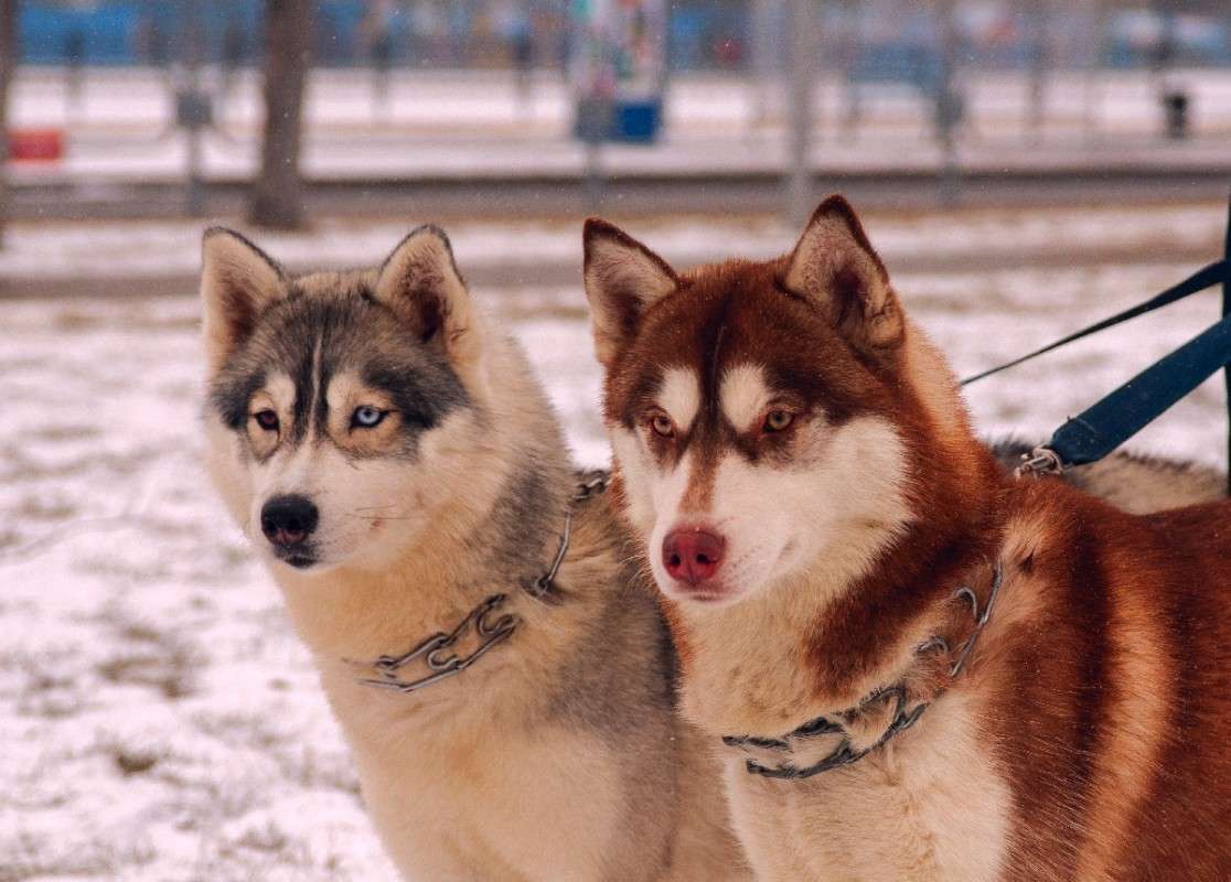 ... ����� ������� ���������� �� PhotoGeek.ru #�������� ��� #��������