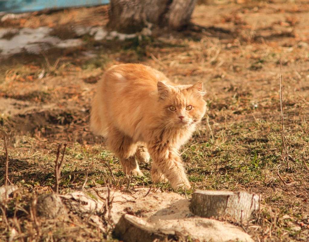 ... ����� ������� ���������� �� PhotoGeek.ru #�������� ���