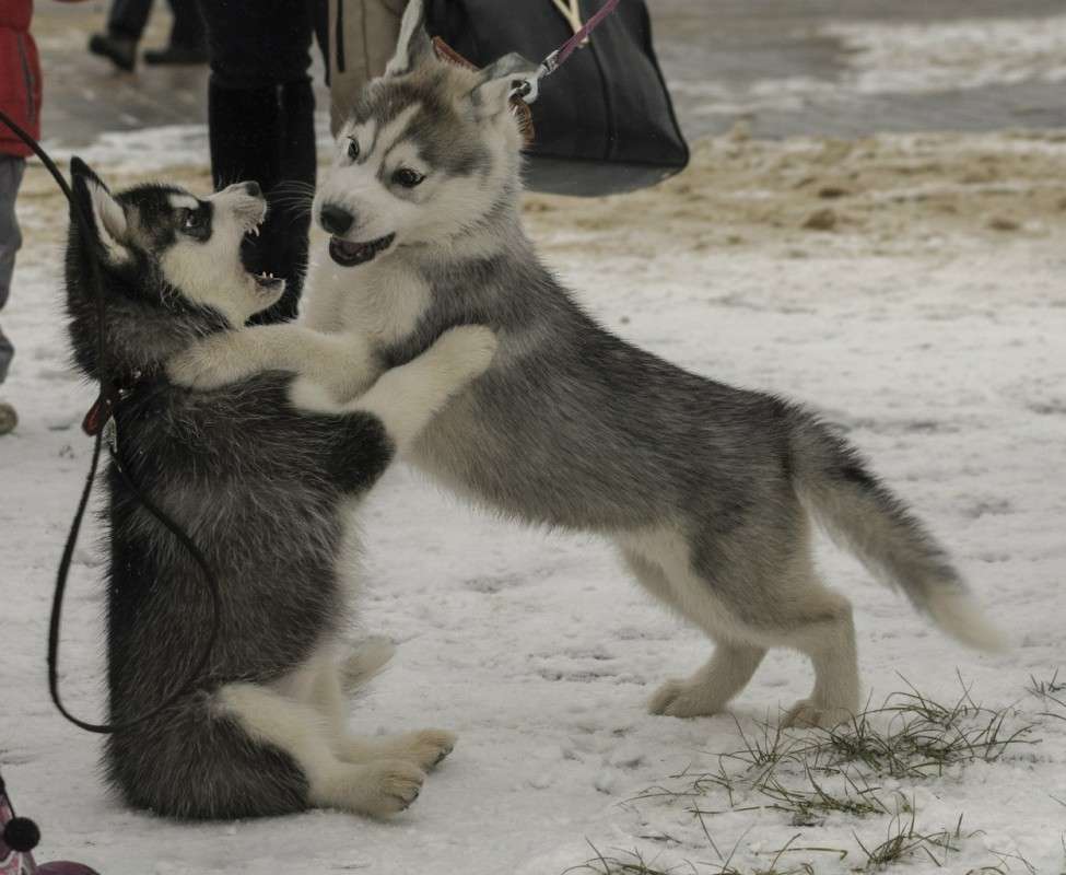 ... ����� ������� ���������� �� PhotoGeek.ru #�������� ���