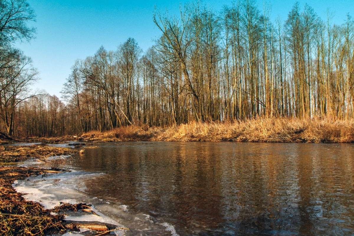 ... ����� ������� ���������� �� PhotoGeek.ru #������ ��� �������