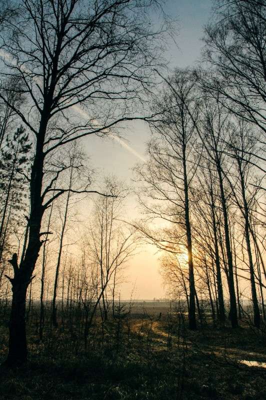 ... ����� ������� ���������� �� PhotoGeek.ru #������ ��� �������