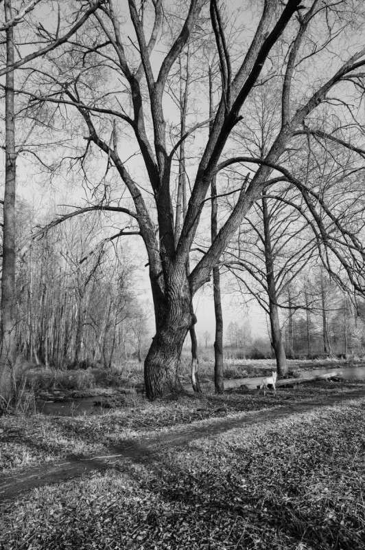 ... ����� ������� ���������� �� PhotoGeek.ru #������ ��� �������