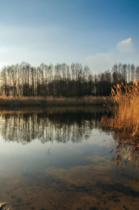 ... ����� ������� ���������� �� PhotoGeek.ru #������ ��� �������