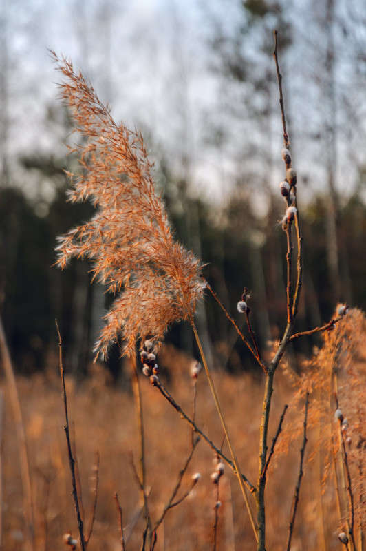 ... ����� ������� ���������� �� PhotoGeek.ru #������ ��� �������