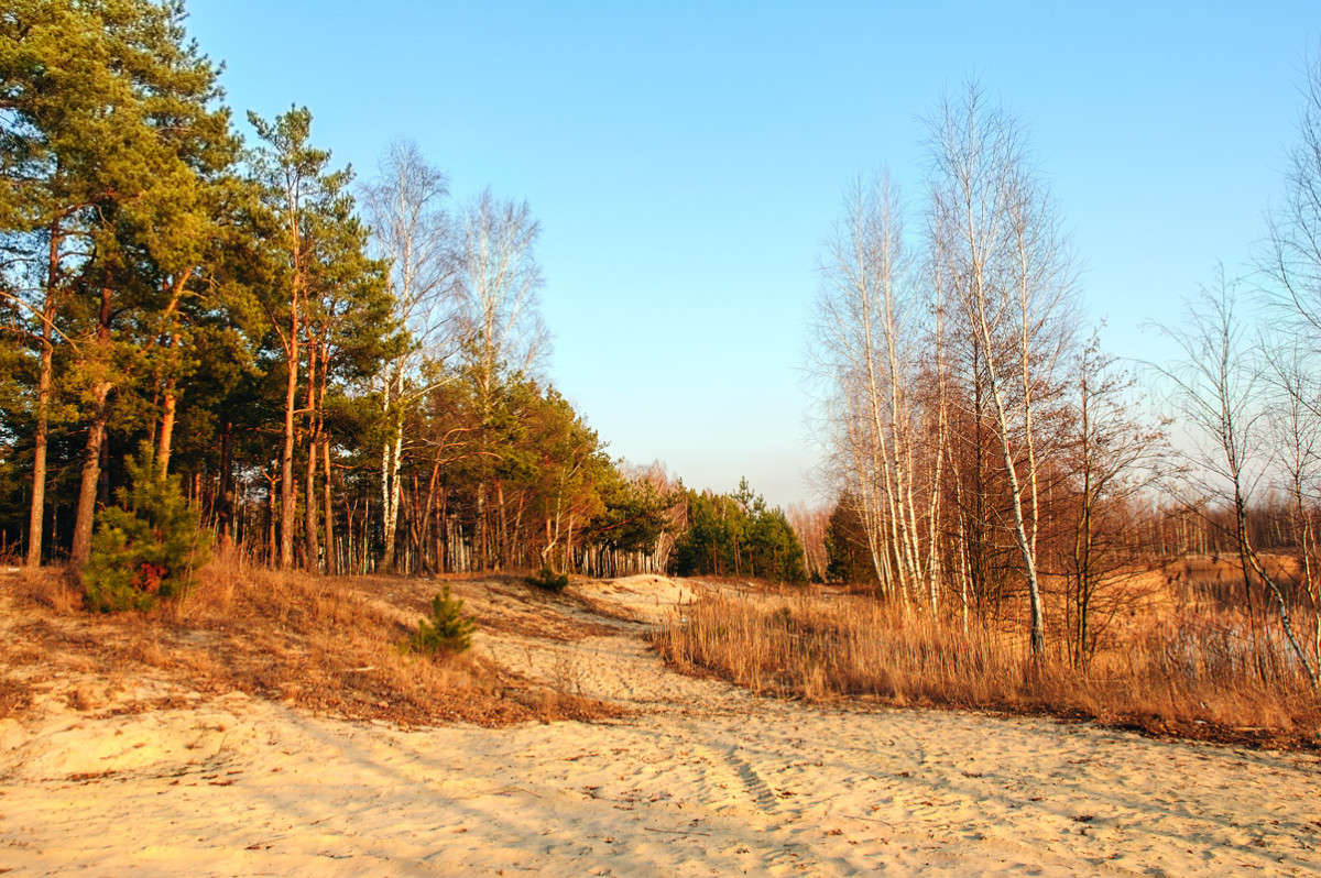 ... ����� ������� ���������� �� PhotoGeek.ru #������ ��� �������