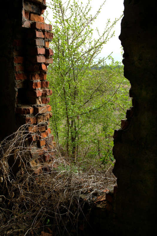 ... ����� ������� ���������� �� PhotoGeek.ru #������ ��� �������