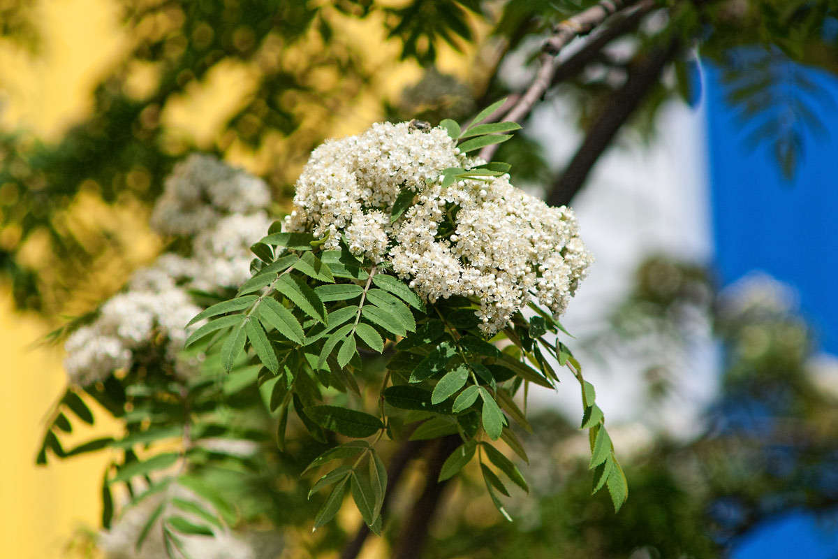 ... ����� ������� ���������� �� PhotoGeek.ru #������ ��� �������