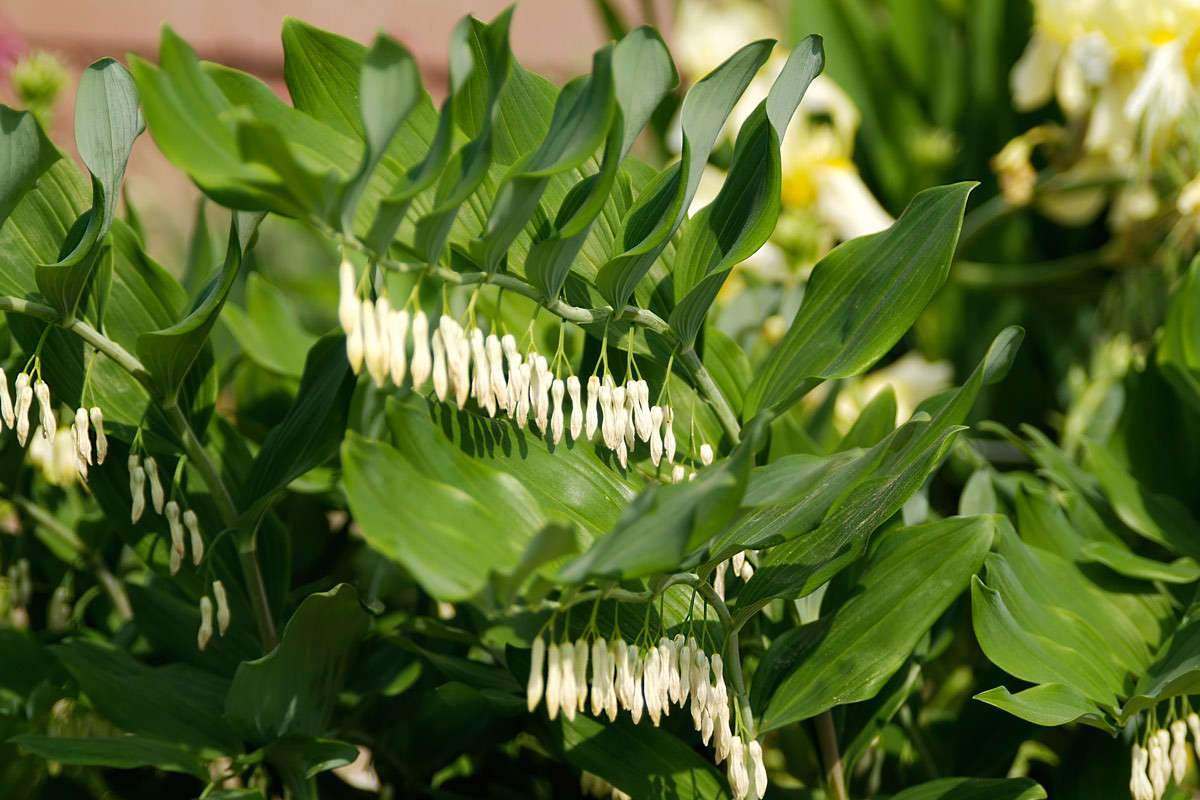 ... ����� ������� ���������� �� PhotoGeek.ru #������ ��� ������� #���������