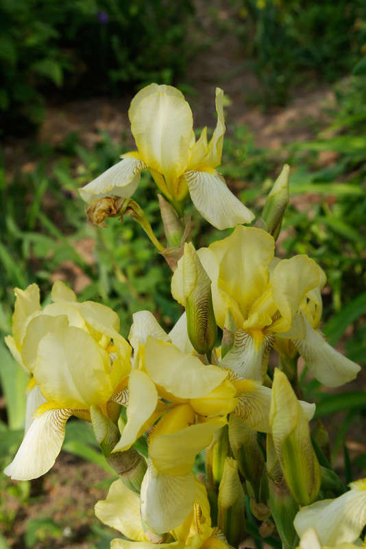 ... ����� ������� ���������� �� PhotoGeek.ru #������ ��� ������� #���������