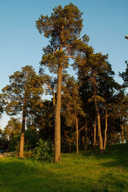 ... ����� ������� ���������� �� PhotoGeek.ru #������ ��� �������