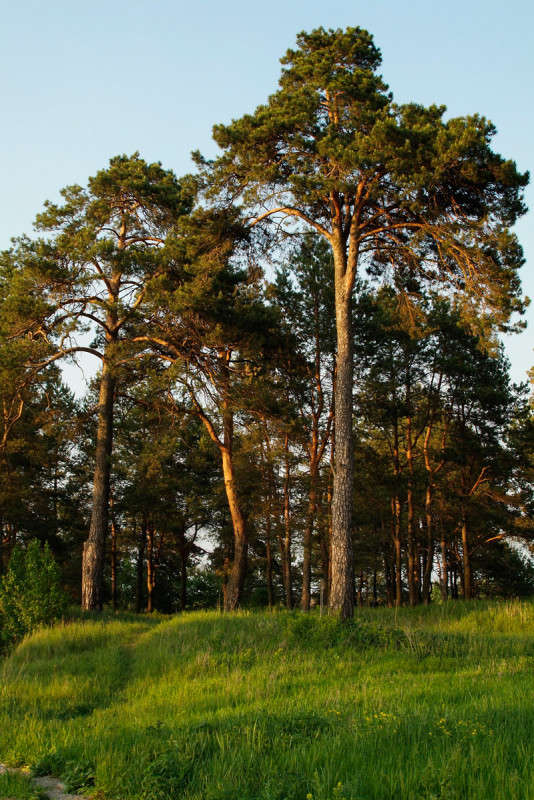 ... ����� ������� ���������� �� PhotoGeek.ru #������ ��� �������