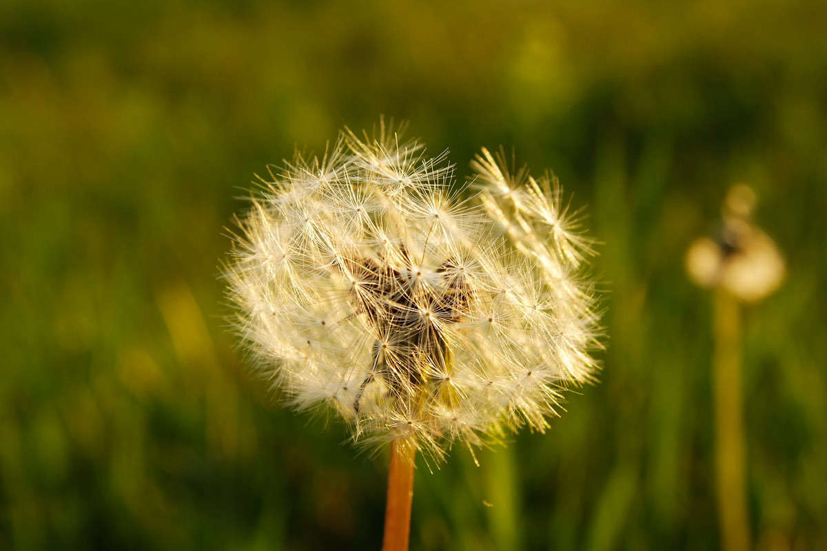 ... ����� ������� ���������� �� PhotoGeek.ru #������ ��� �������