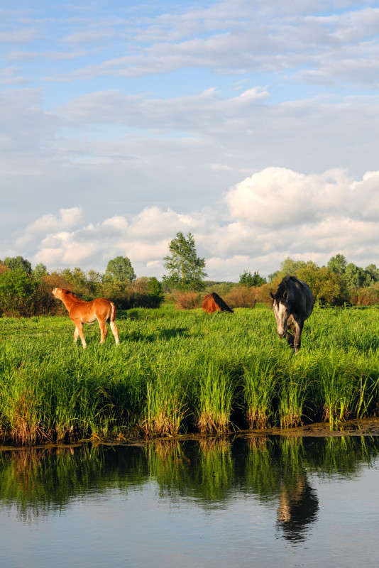 ... ����� ������� ���������� �� PhotoGeek.ru #�������� ���