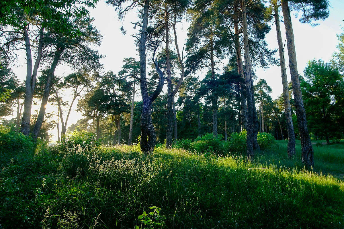 ... ����� ������� ���������� �� PhotoGeek.ru #������ ��� �������