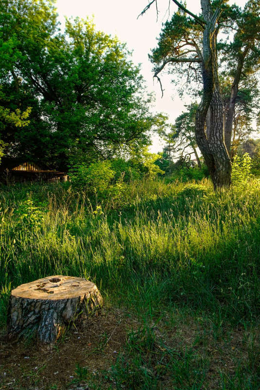 ... ����� ������� ���������� �� PhotoGeek.ru #������ ��� �������