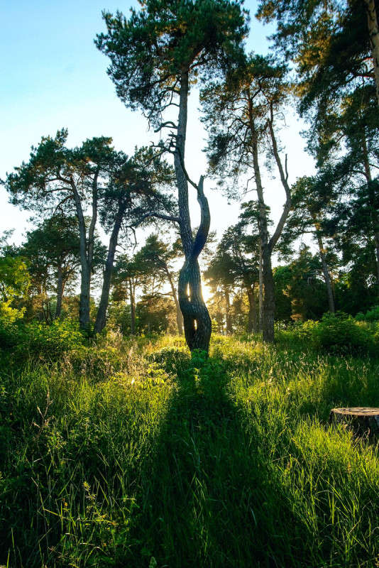 ... ����� ������� ���������� �� PhotoGeek.ru #������ ��� �������