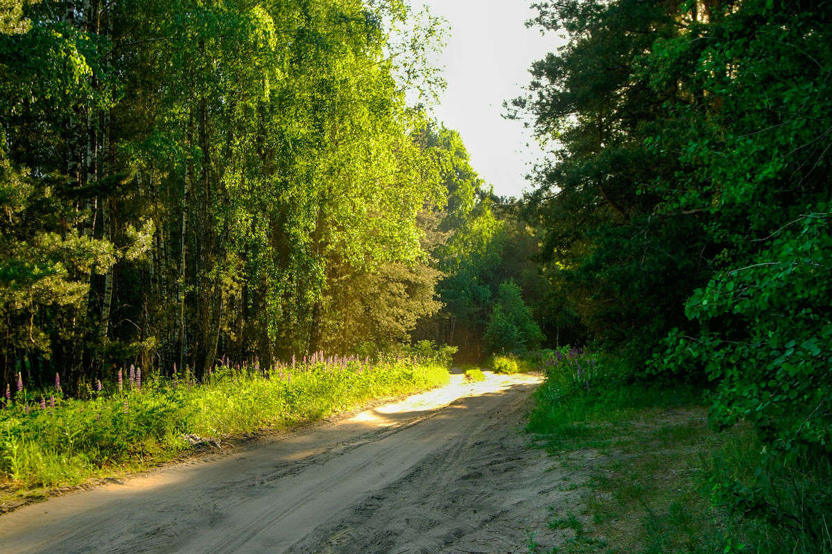 ... ����� ������� ���������� �� PhotoGeek.ru #������ ��� �������