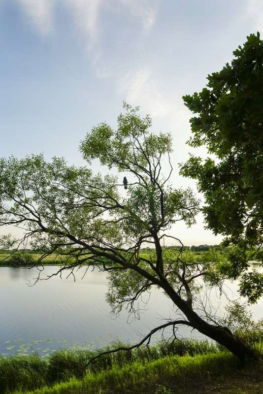 ... ����� ������� ���������� �� PhotoGeek.ru #������ ��� �������