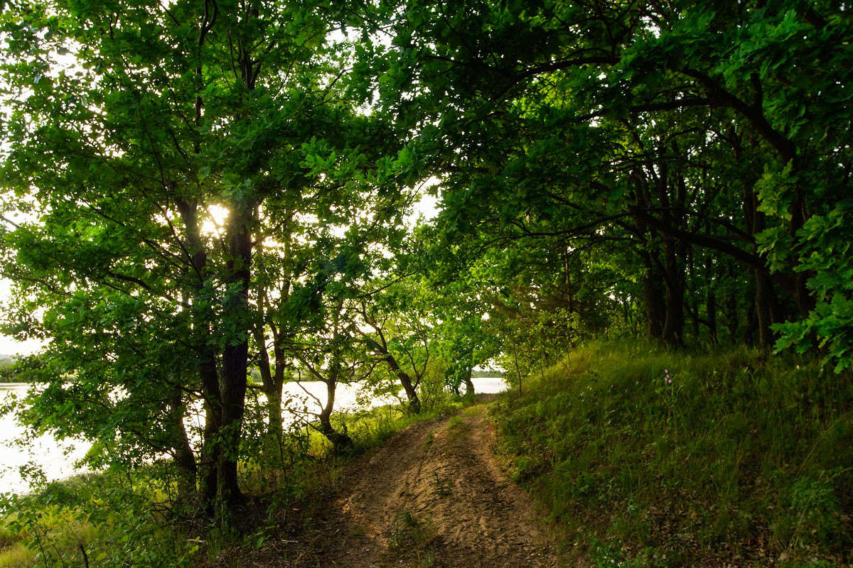 ... ����� ������� ���������� �� PhotoGeek.ru #������ ��� �������