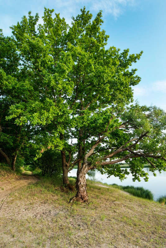 ... ����� ������� ���������� �� PhotoGeek.ru #������ ��� �������