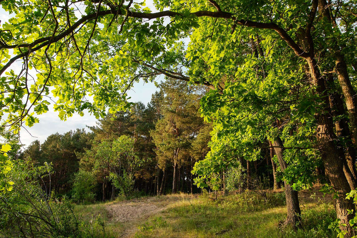 ... ����� ������� ���������� �� PhotoGeek.ru #������ ��� �������