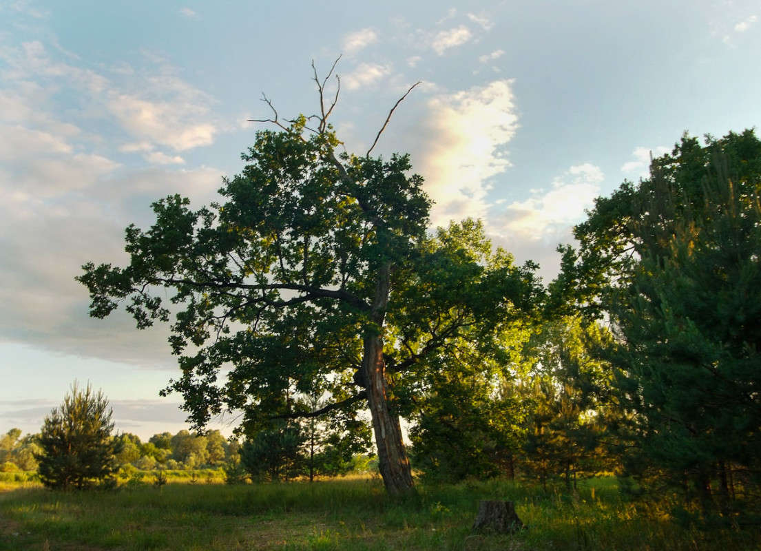 ... ����� ������� ���������� �� PhotoGeek.ru #������ ��� �������