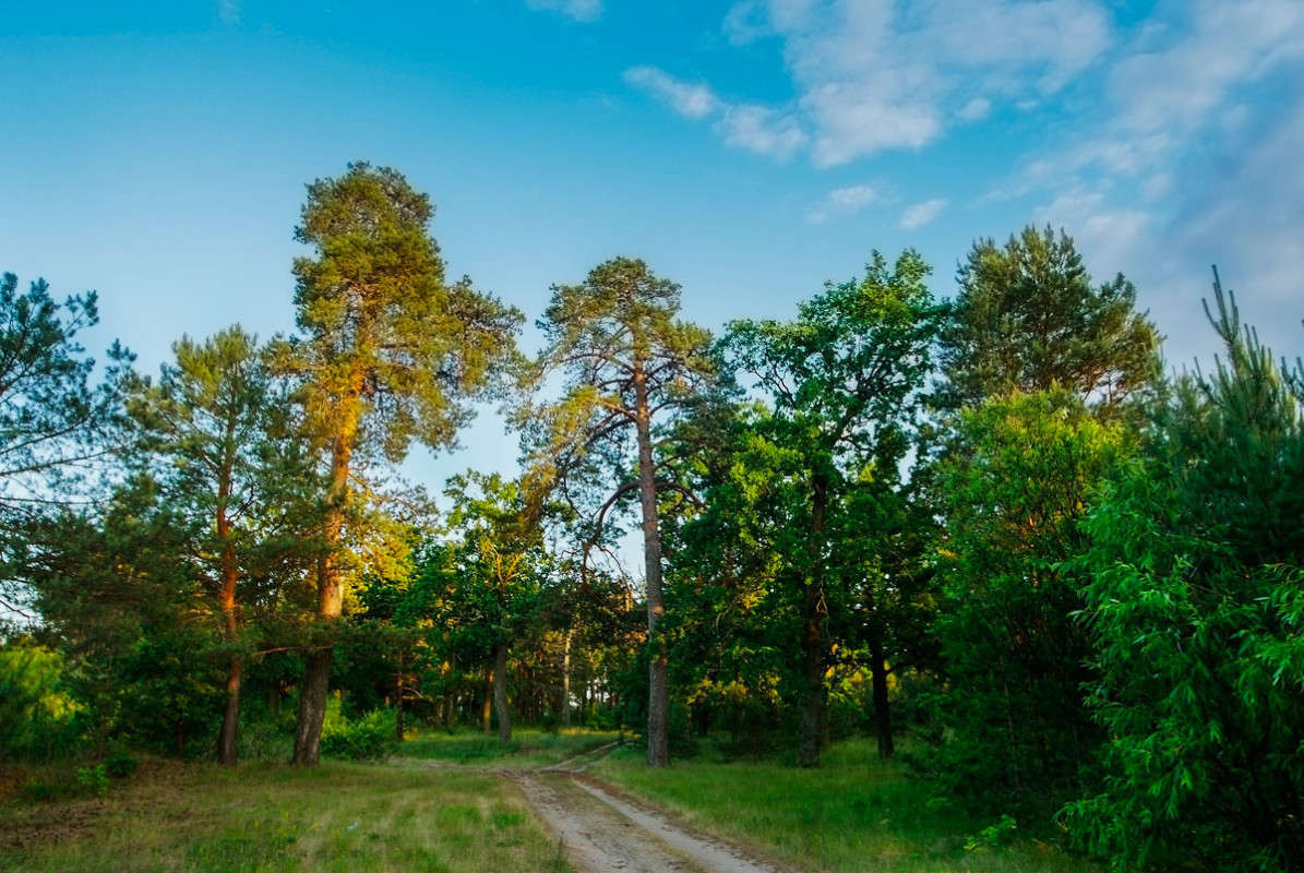 ... ����� ������� ���������� �� PhotoGeek.ru #������ ��� �������