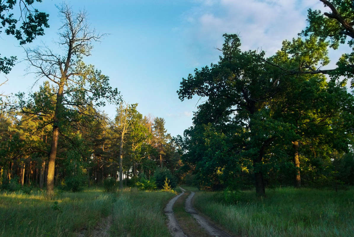 ... ����� ������� ���������� �� PhotoGeek.ru #������ ��� �������