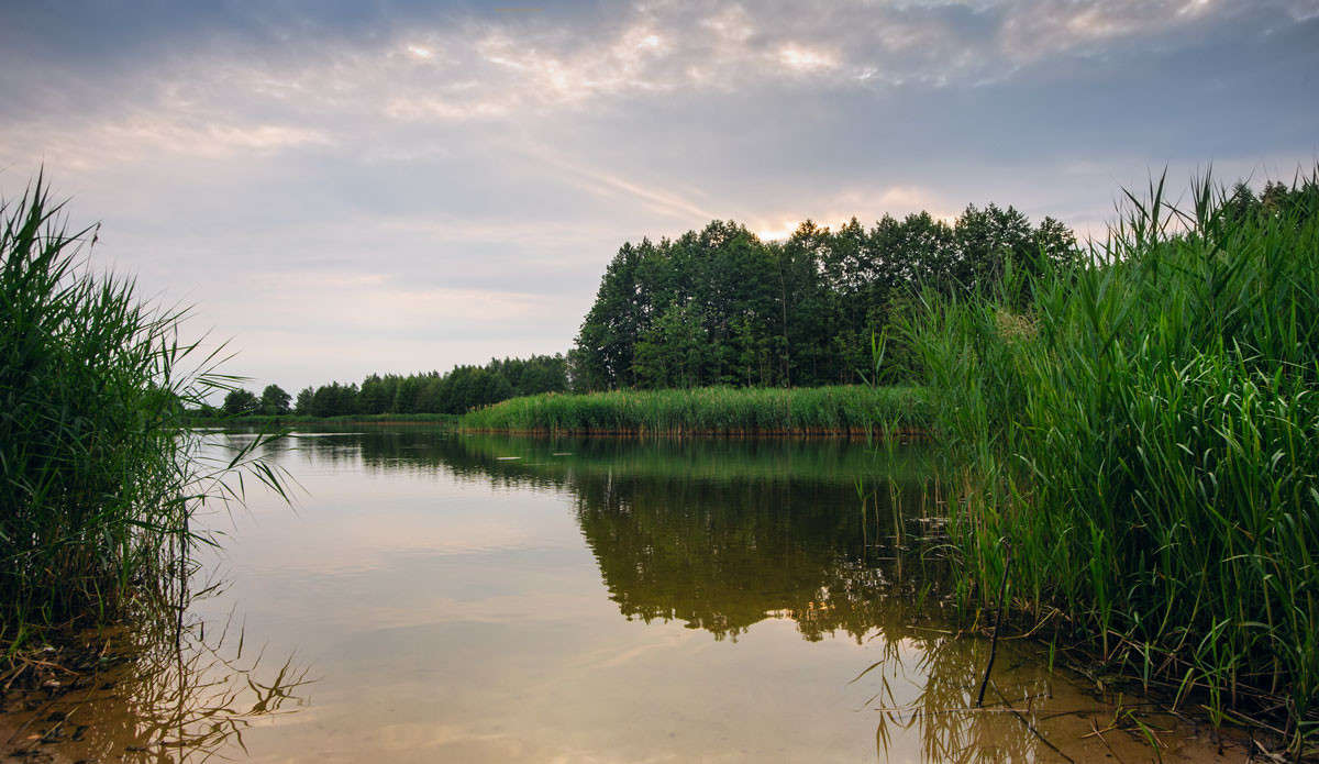 ... ����� ������� ���������� �� PhotoGeek.ru #������ ��� �������