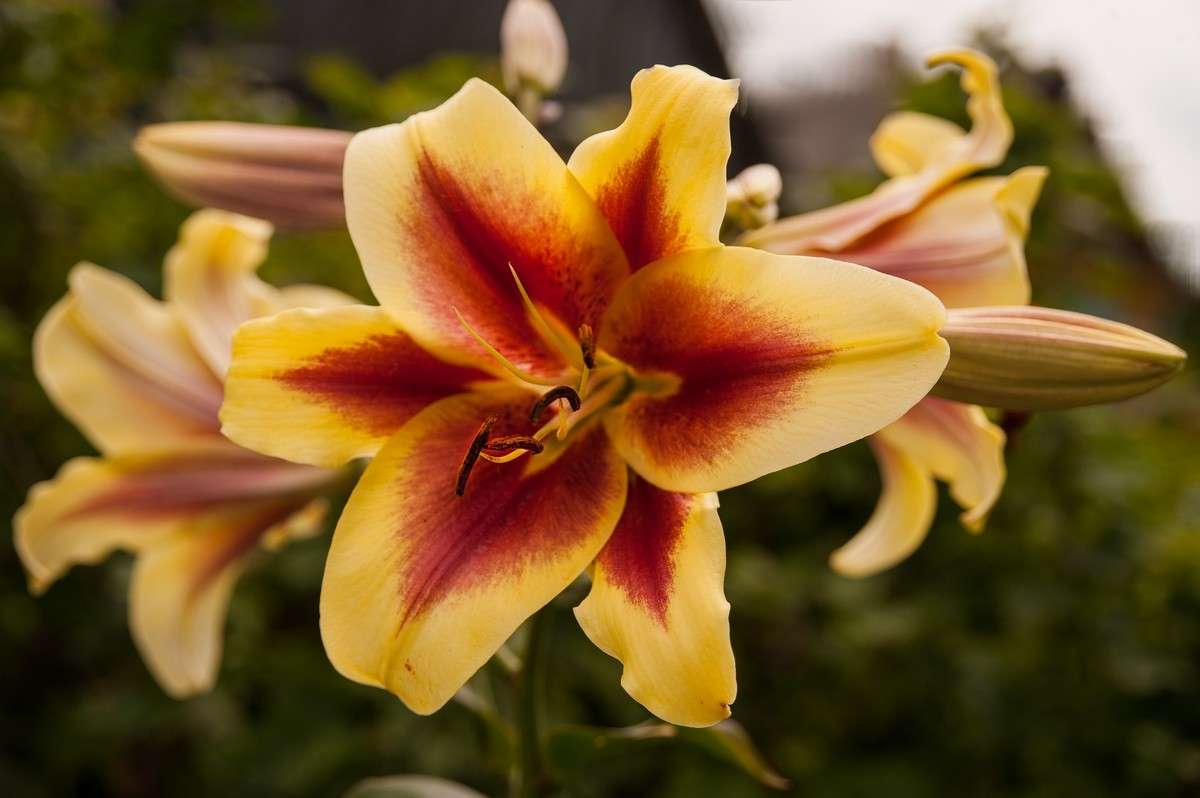 ... ����� ������� ���������� �� PhotoGeek.ru #������ ��� ������� #����� ��������������