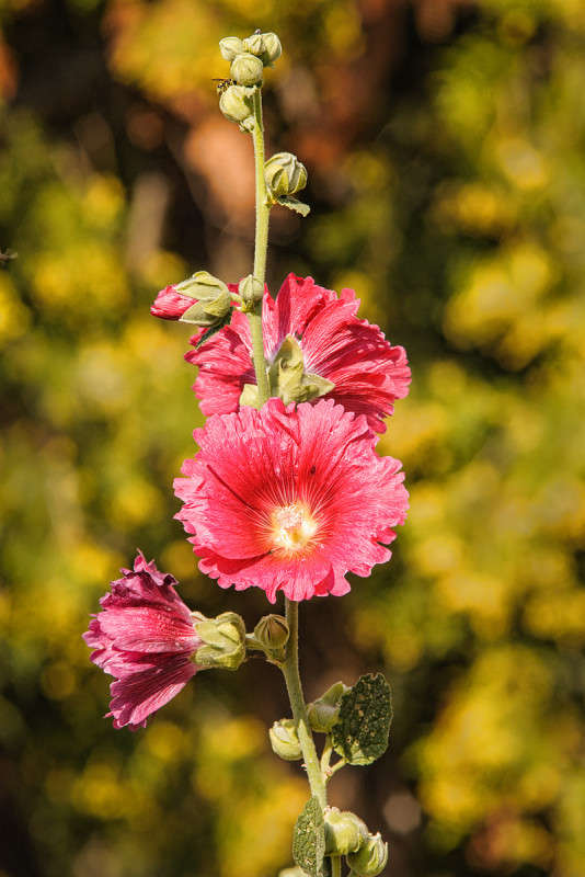 ������ ����� ������� ���������� �� PhotoGeek.ru #������ ��� �������