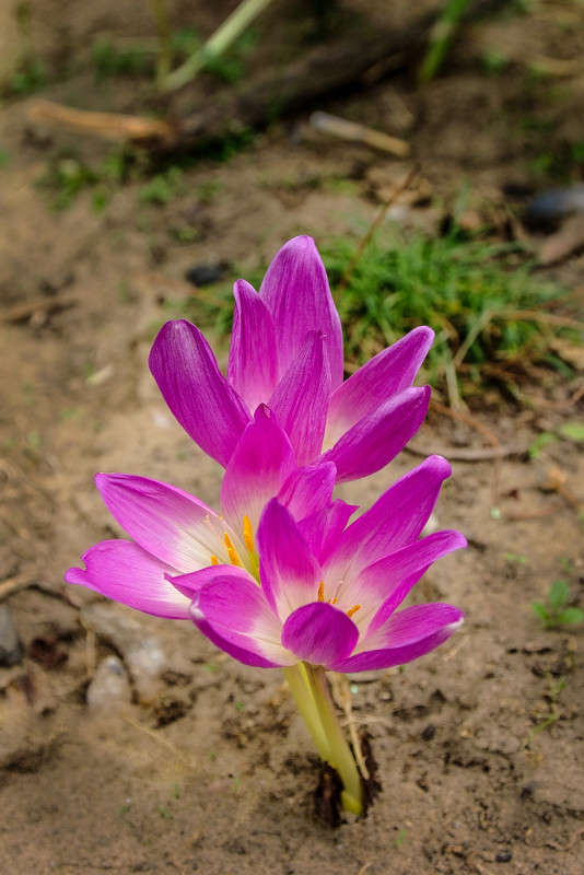 ��������... ����� ������� ���������� �� PhotoGeek.ru #������ ��� �������