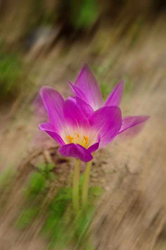 ... ����� ������� ���������� �� PhotoGeek.ru #������ ��� �������