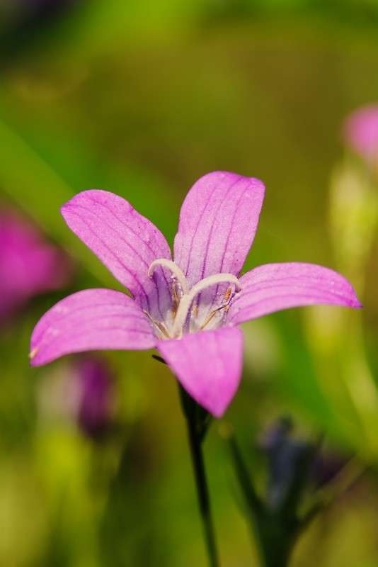 .... ����� ������� ���������� �� PhotoGeek.ru #������ ��� �������