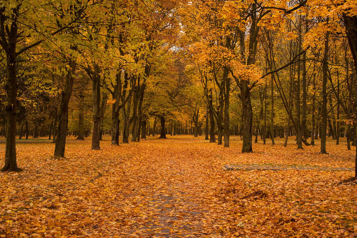 ... ����� ������� ���������� �� PhotoGeek.ru #������ ��� �������