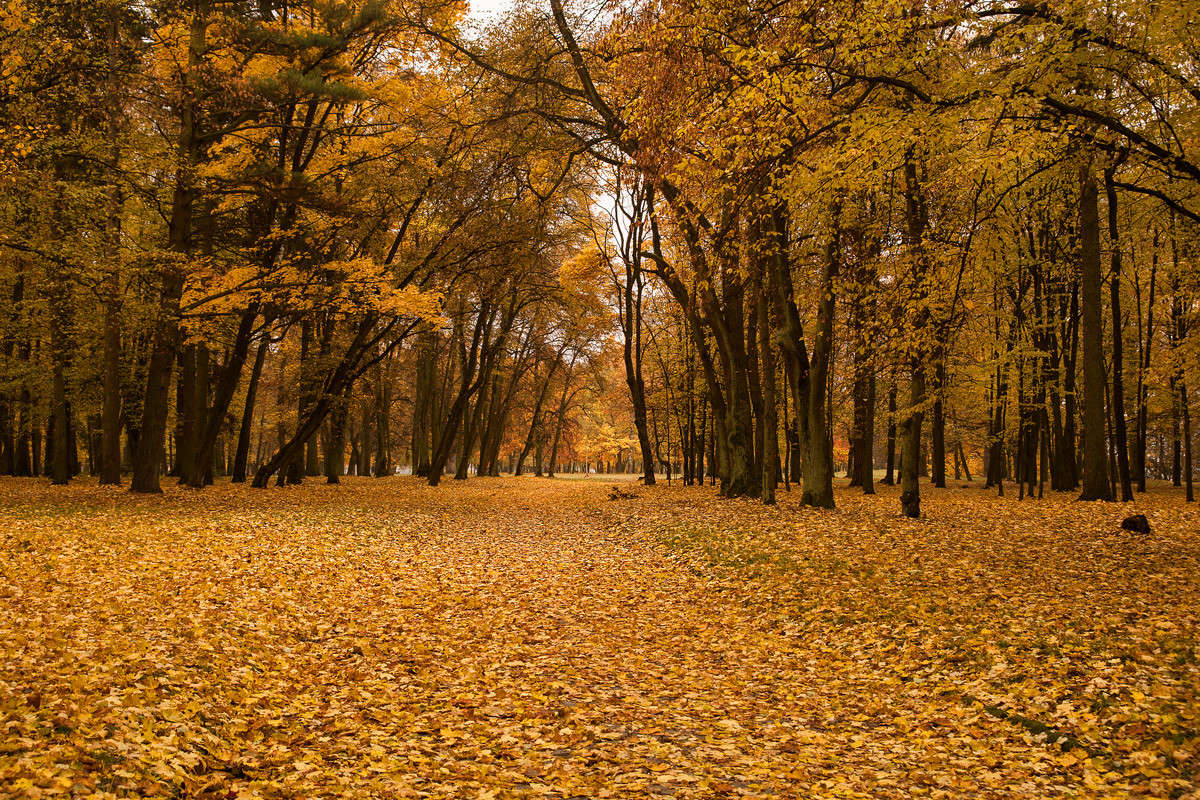 .... ����� ������� ���������� �� PhotoGeek.ru #������ ��� �������