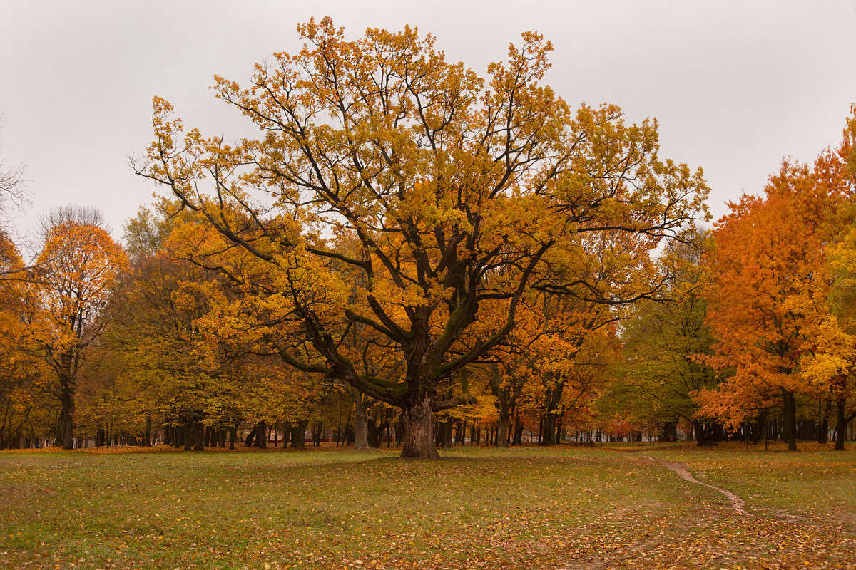 ������ ��� ����� ������� ���������� �� PhotoGeek.ru #������ ��� �������