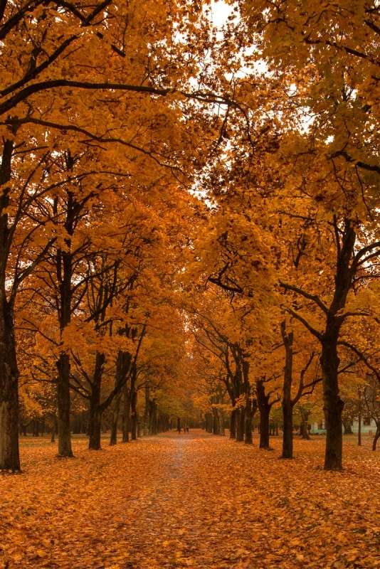 ... ����� ������� ���������� �� PhotoGeek.ru #������ ��� �������