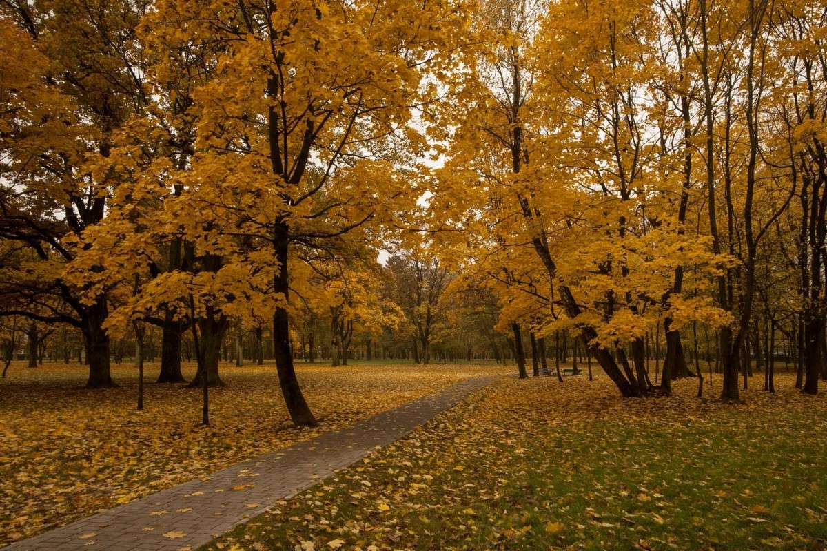 ... ����� ������� ���������� �� PhotoGeek.ru #������ ��� �������