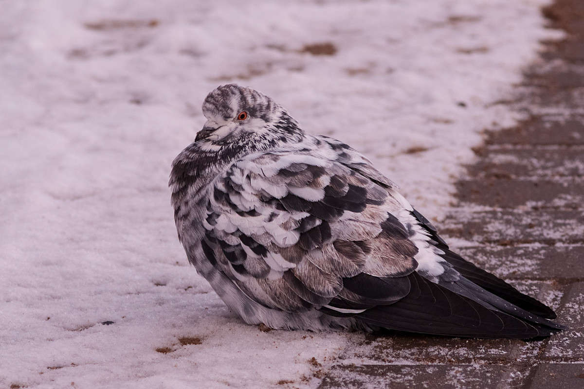 ... ����� ������� ���������� �� PhotoGeek.ru #�������� ���