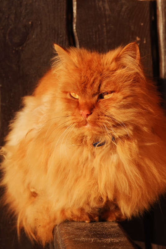 ... ����� ������� ���������� �� PhotoGeek.ru #�������� ���