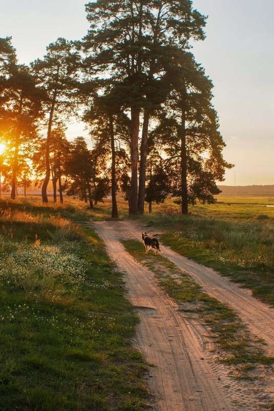 .... ����� ������� ���������� �� PhotoGeek.ru #������ ��� �������