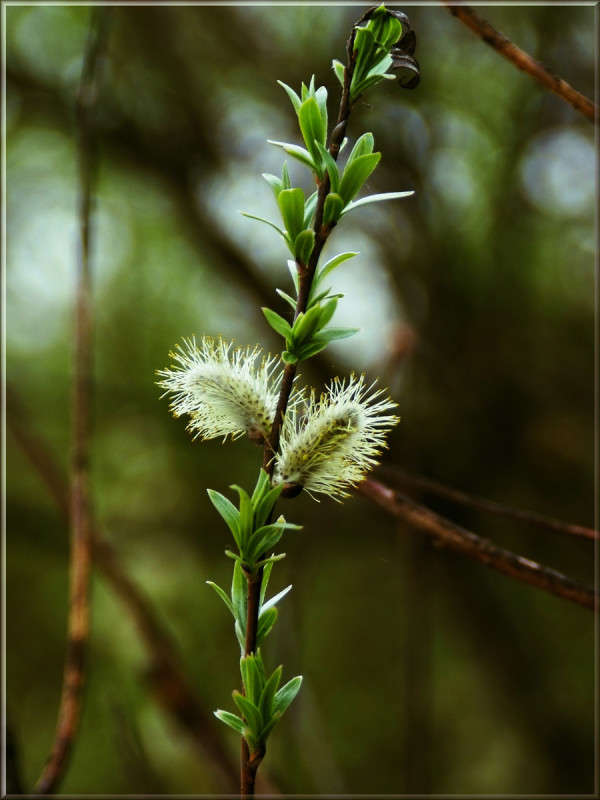 ... ����� ������� ���������� �� PhotoGeek.ru #������ ��� �������